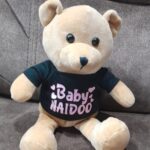 Plush Toy with Printable T-shirt